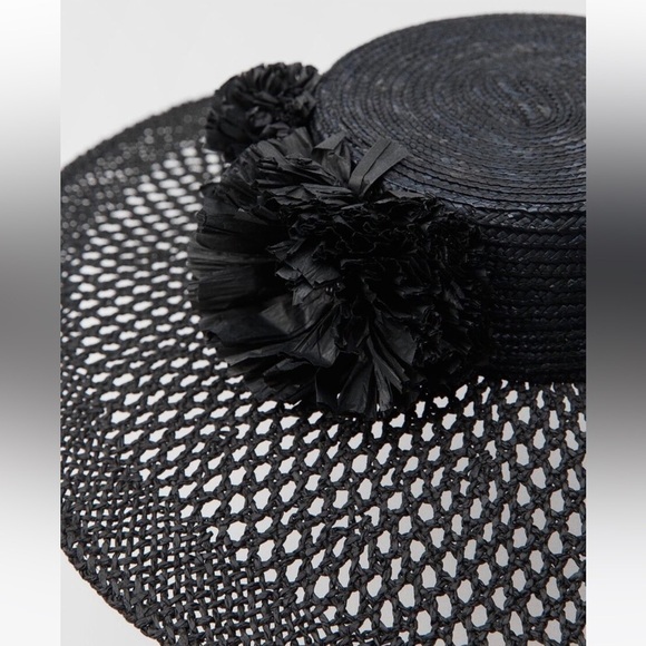 NWT Zara Limited Edition Floral Raffia Wide Brim Sun Picture Hat main image 8